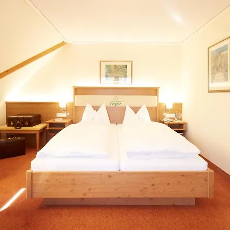 Wander- & Wellnesshotel Naegele 4*