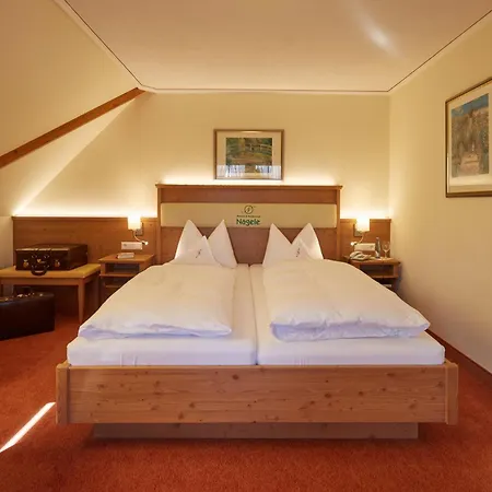 Hotel Wander- & Wellnesshotel Naegele Höchenschwand