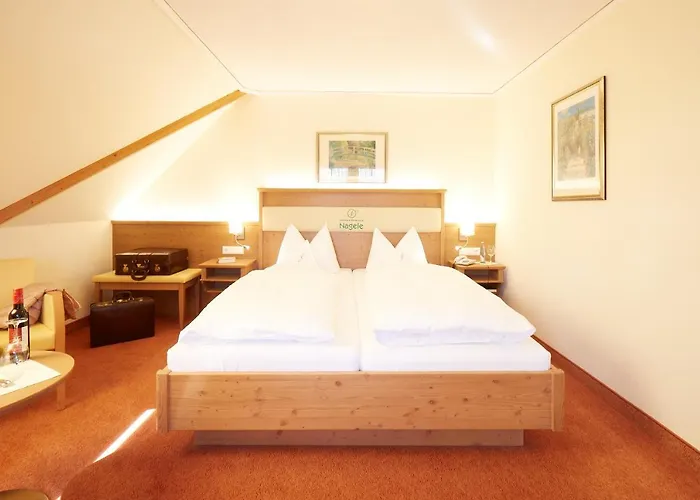 Wander- & Wellnesshotel Naegele 4*