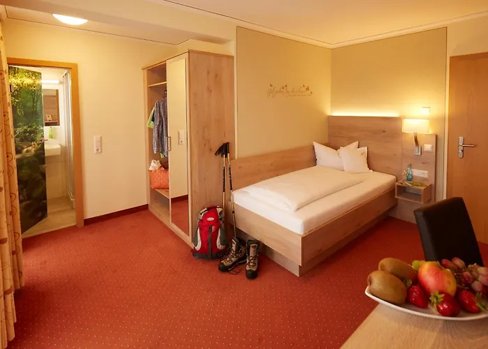 Wander- & Wellnesshotel Naegele Hotel 4*